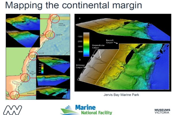 O'Hara 1 presentation to SWIFFT seminar 13 February 2020