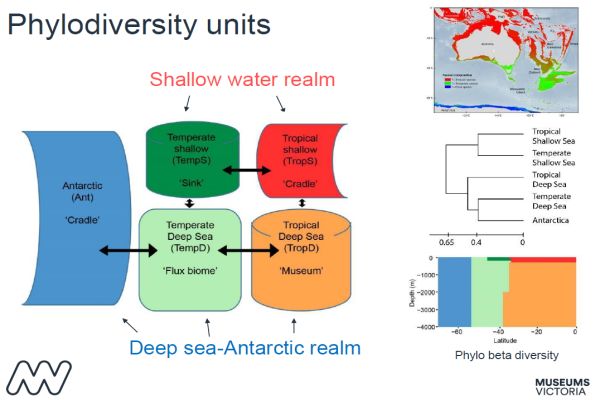 O'Hara 5 presentation to SWIFFT seminar 13 February 2020