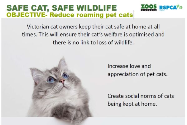 Lancaster 2 safe cats program, Zoos Victoria