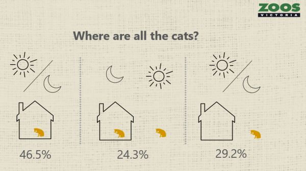 McLeod 1 cat survey Zoos Victoria