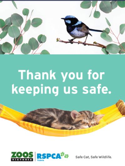 McLeod 3 safe cats safe wildlife poster Zoos Victoria