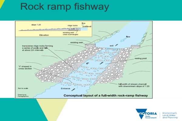 O’Conner  3 in talk to SWIFFT Crossings for Wildlife 20 May 2021