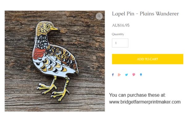 James 4 art work pin in talk to SWIFFT 23 April 2020