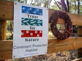 trust for nature