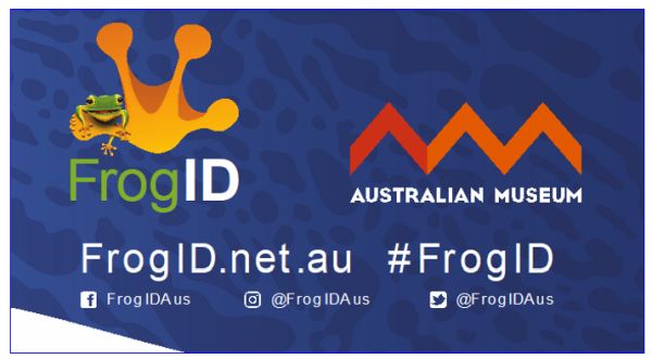 Frog ID 2