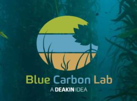 blue carbon lab 