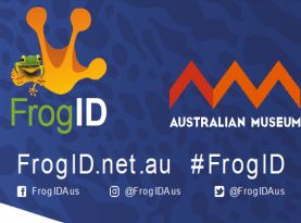 Frog ID  intro 