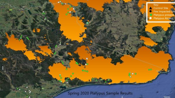 East Gippsland Regional Landcare 3 Josh Griffiths in talk to SWIFFT 25 March 2021