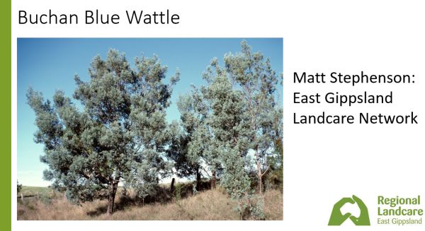 East Gippsland Regional Landcare 3 Matt Stephenson in talk to SWIFFT 25 March 2021