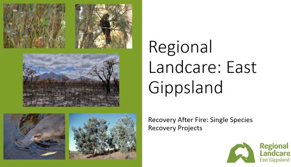 East Gippsland Regional Landcare 1 intro in talk to SWIFFT 25 March 2021