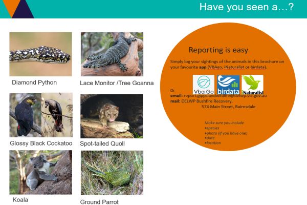 Ricardo 1 Community Wildlife Reporting in talk to SWIFFT 25 March 2021