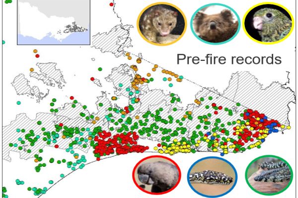 Ricardo 1 Community Wildlife Reporting in talk to SWIFFT 25 March 2021