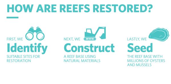 Scott Breschkin 5  from shellfish reef restoration in talk to SWIFFT 25 May 2023