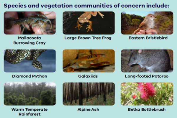 Fahey 1 2 priority species - in talk to SWIFFT 26 March 2020