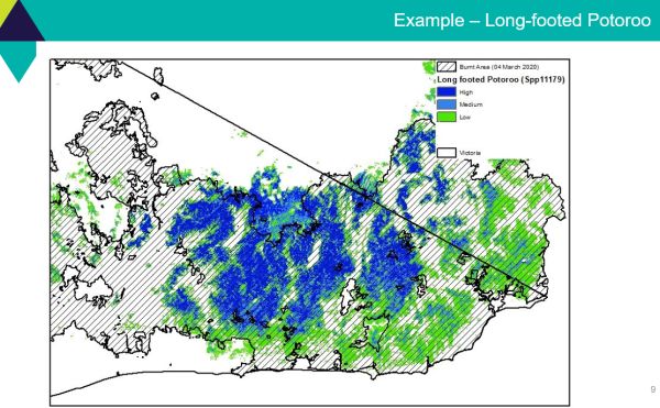 Geary 3 case study Long-footed Potoroo - in talk to SWIFFT 26 March 2020