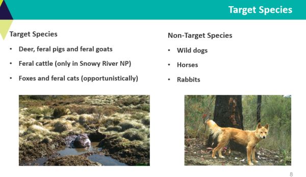 McMaster and Fahey target pest species - in talk to SWIFFT 26 March 2020