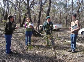 citizen science intro