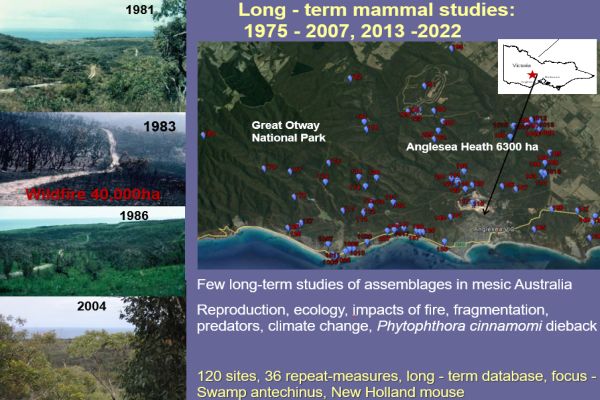 Presentation to SWIFFT Seminar 26 May 2022 by Barbara Wilson