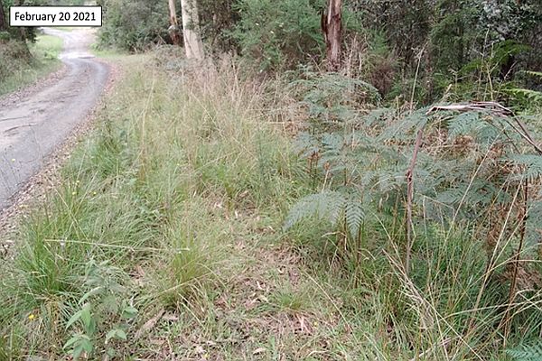 Presentation to SWIFFT Seminar 26 May 2022 by Sakib Kazi (Zoos Victoria)