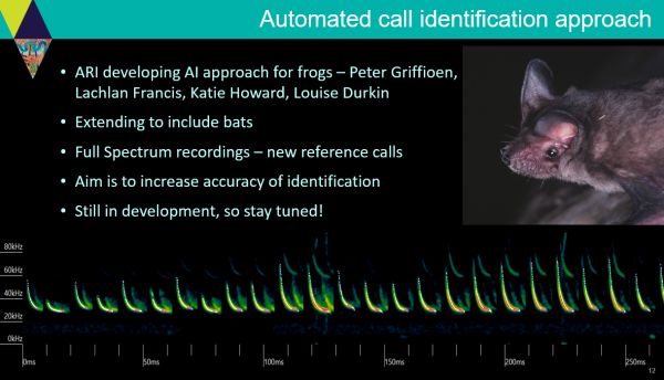 Presentation to SWIFFT Seminar 26 May 2022 by Lindy Lumsden