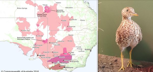 Dr Aaron Grinter (DEECA) 2 – Loddon Malle Region from SWIFFT Seminar 26 October 2023