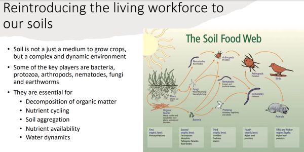 Dougal McAllister 2- Bonnie Brae Farm from SWIFFT Seminar 27 July 2023 