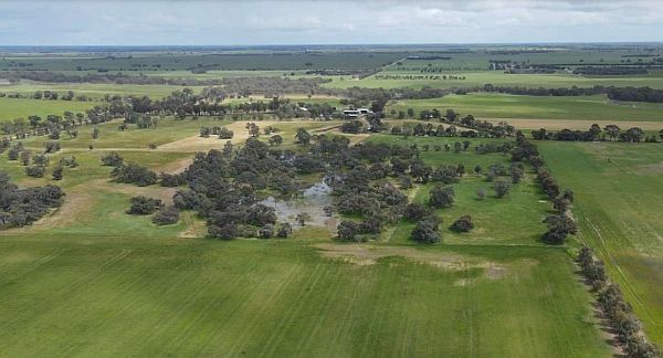 Prue McAllister 7 - Bonnie Brae Farm from SWIFFT Seminar 27 July 2023 