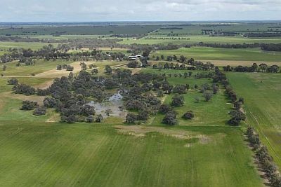 Prue McAllister 1 - Bonnie Brae Farm from SWIFFT Seminar 27 July 2023  