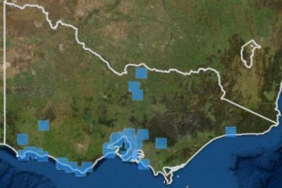 Australasian Bittern 2000 to 2010 