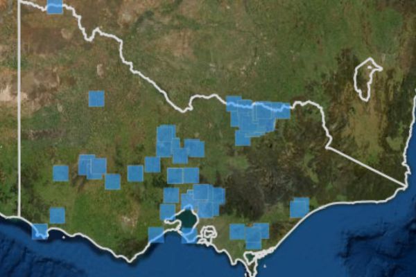 Barking Owl records 2000 to 2020 Source: Visualising Victoria's Biodiversity
