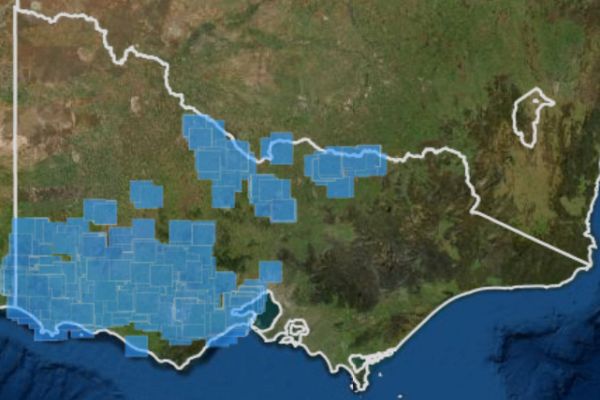 Brolga records from 2000 to 2021 Source: Visualising Victoria's Biodiversity