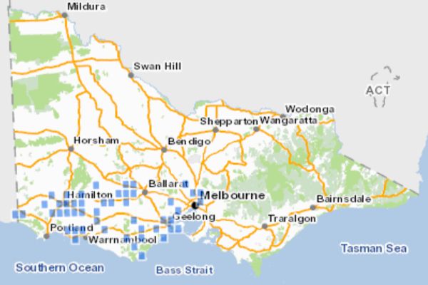 Historic distribution of Eastern Barred Bandicoot in Victoria. Source: Victorian Biodiversity Atlas, DELWP February 2021
