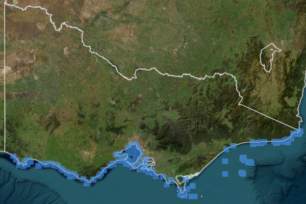 Humpback Whale records 1850 to 2023 Visualising Victoria's Biodiversity