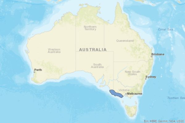 Southern Bent-wing Bat Source  Bat Map