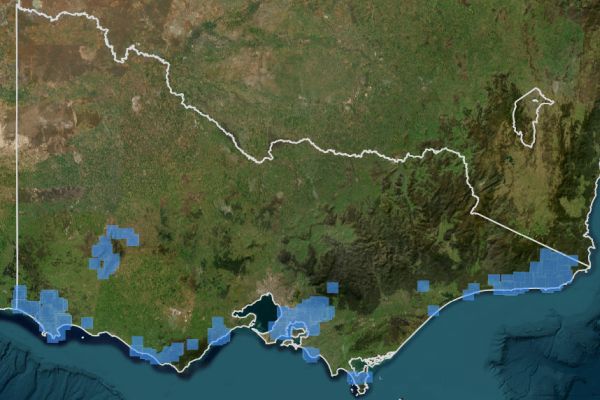 Southern Brown Bandicoot 2000 to 2022