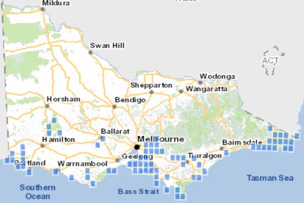 Swamp Skink distribution in Victoria Source: Victorian Biodiversity Atlas 2025