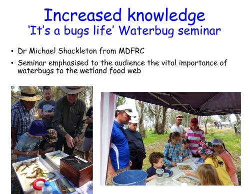 farnsworth bug workshop