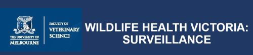 Wildlife Health