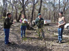 SWIFFT seminars fire recovery and citizen science