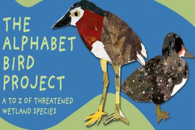 Alphabet bird project 2021