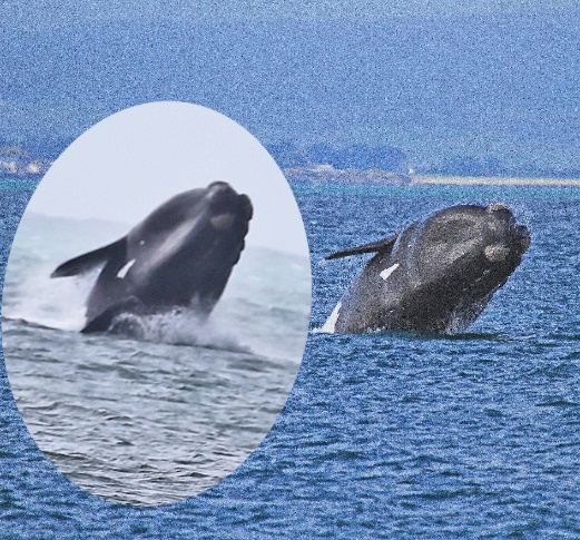 almost identical shots SE1719 breaching 8 years apart