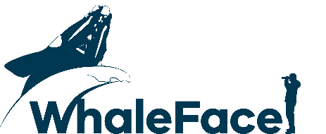 WhaleFace Logo