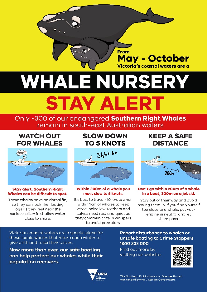 Boat ramp sign raising awareness of boating safety around whales_Main sign