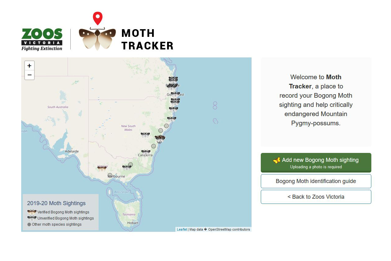 Moth tracker
